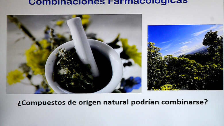 Investigadores de la UNAM proponen combinar compuestos de plantas para ayudar a atender daños gástricos