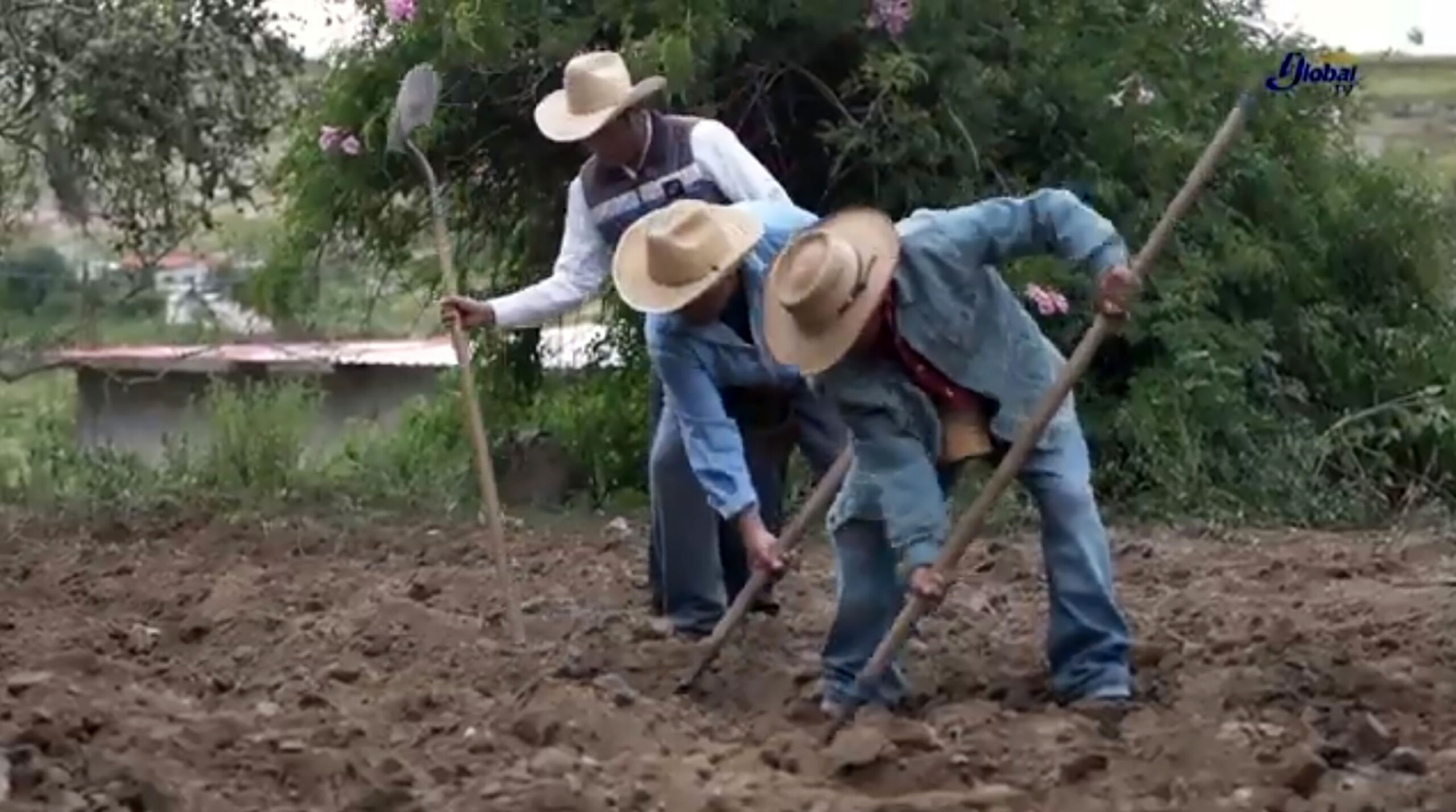 25 millones de la población campesina en México experimentan problemáticas sociales y laborales: UNAM