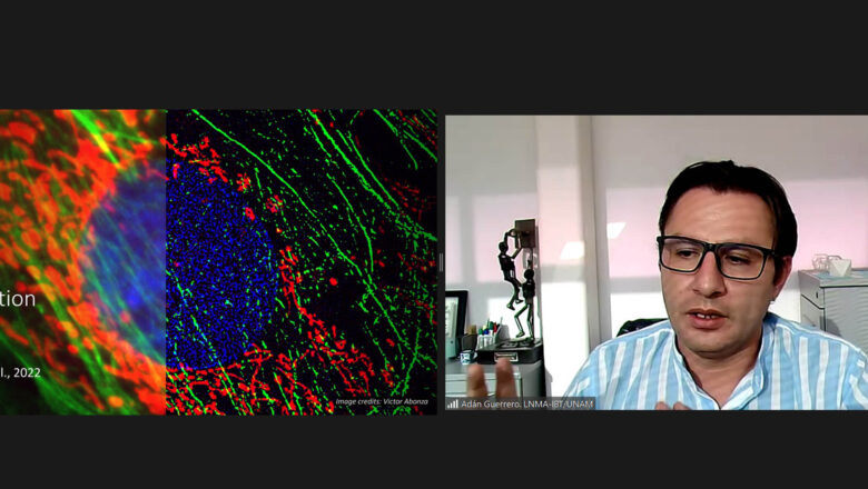 Crean en la UNAM Algoritmo que mejora imágenes fluorescentes con superresolución