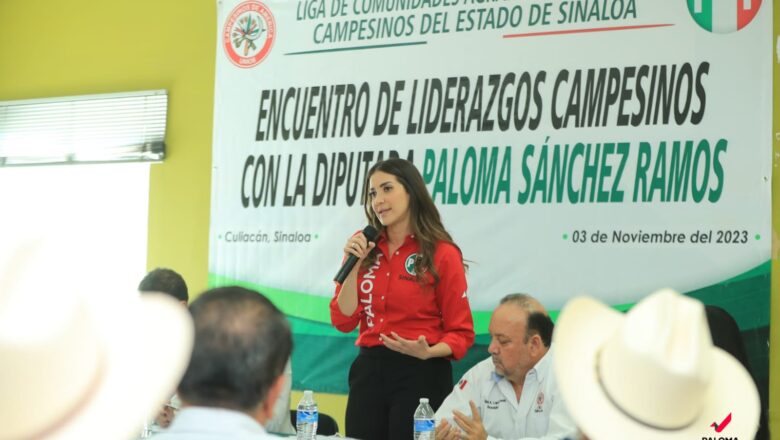 Denuncian diputados del PRI que Morena esta dejando sin presupuesto a los Estados: Paloma Sánchez