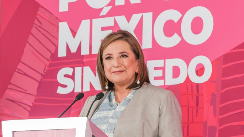 Nunca he comido sapos responde Xóchitl Gálvez a AMLO. Él se ve que come muchos sapos todos los días y ni gestos hace