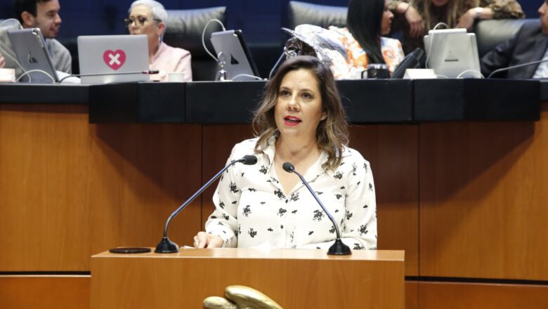 El  Senado aprobó la participación legal de los voluntarios en emergencias nacionales: Gina Cruz