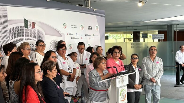Iniciativa de Patricia Mercado busca mejorar derechos laborales del personal de enfermería en el país
