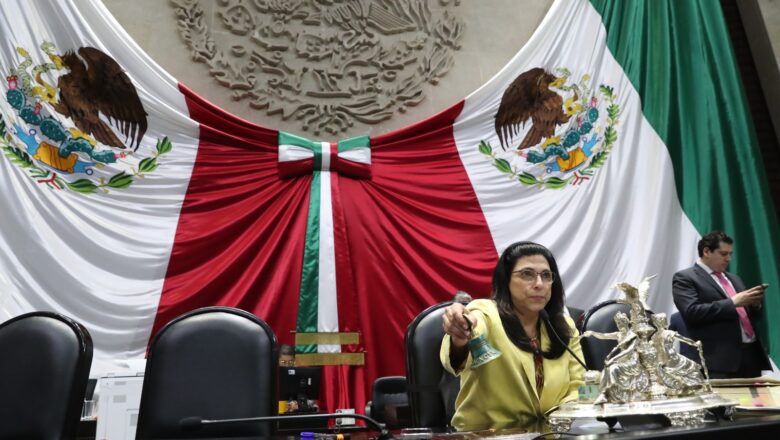 Inversión Nacional y Extranjera: Impulso Vital para el Sector Eléctrico Mexicano: Marcela Guerra