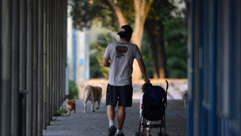 Hacia una Nueva Paternidad: UNAM