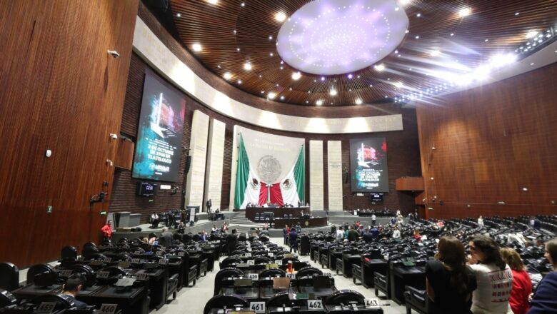 La Cámara de Diputados aprueba la “Ley Silla”: un paso hacia mejores condiciones laborales