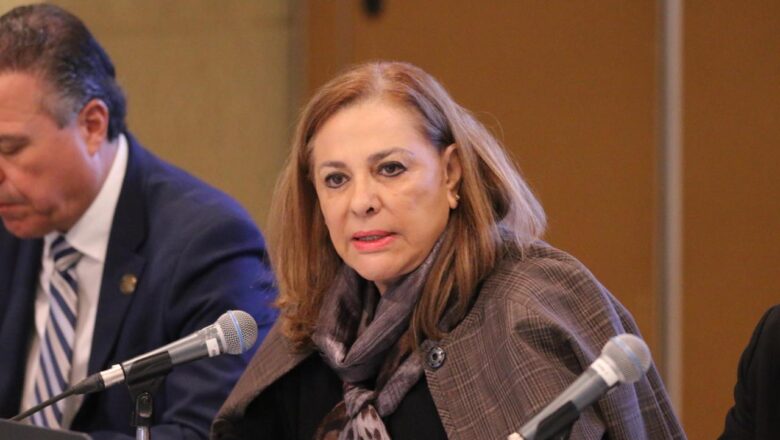 El PRI en diputados presenta iniciativa para tener un sistema integral de salud para garantizar medicamentos y vacunas a mexicanos: Graciela Ortiz