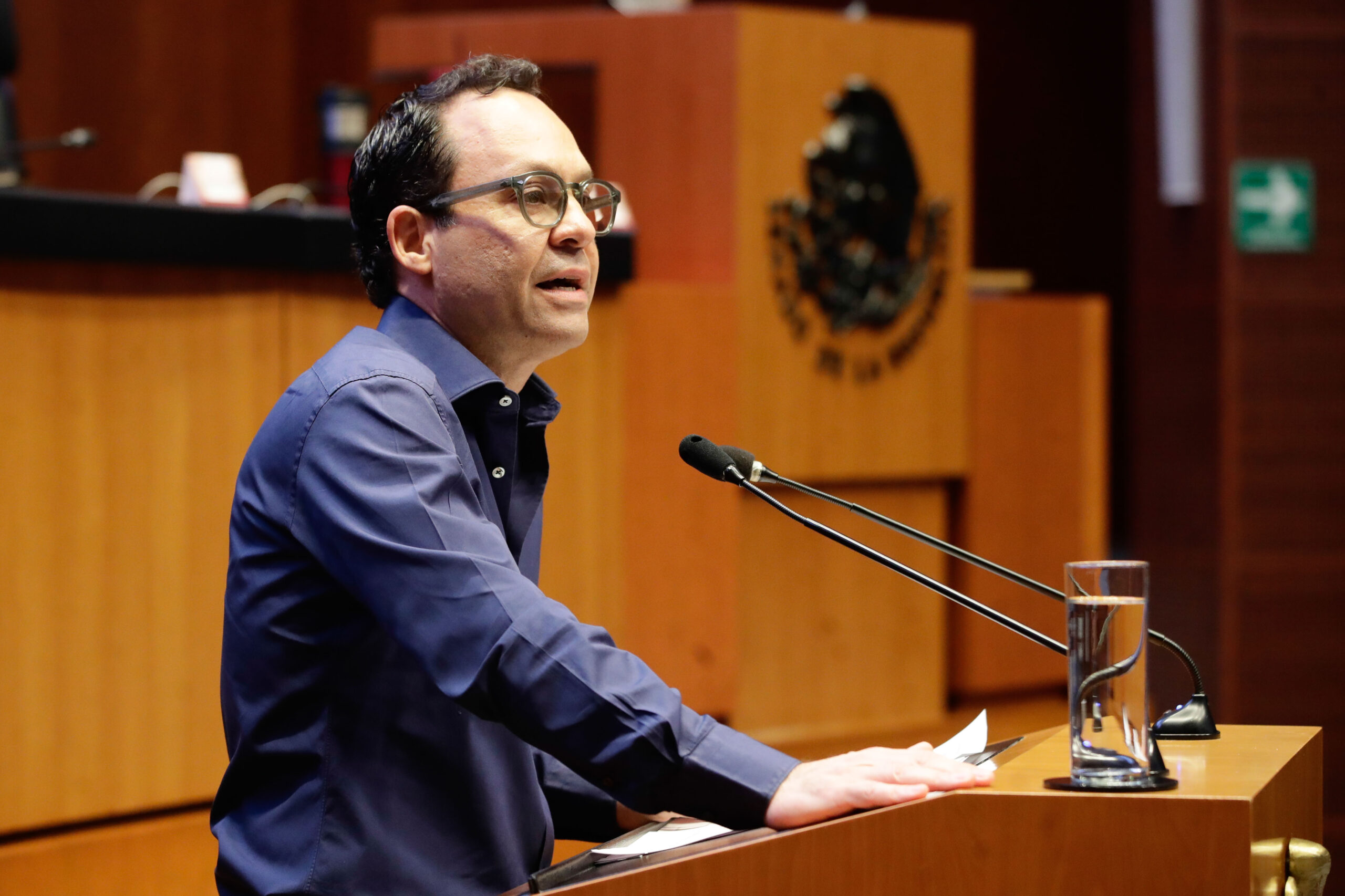 Movimiento Ciudadano en el Senado pide a Guadalupe Taddei explicar operación de casillas en elección judicial