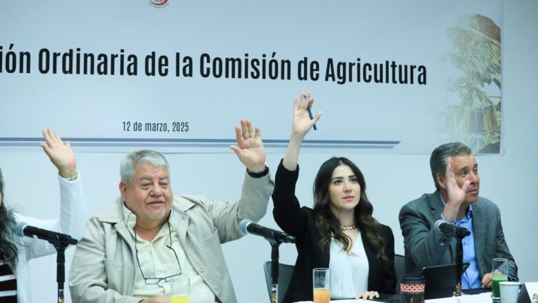 Ante los aranceles del 20.91 % impuestos por Estados Unidos al tomate mexicano, negociación eficaz y estrategia para evitarlos: Paloma Sánchez