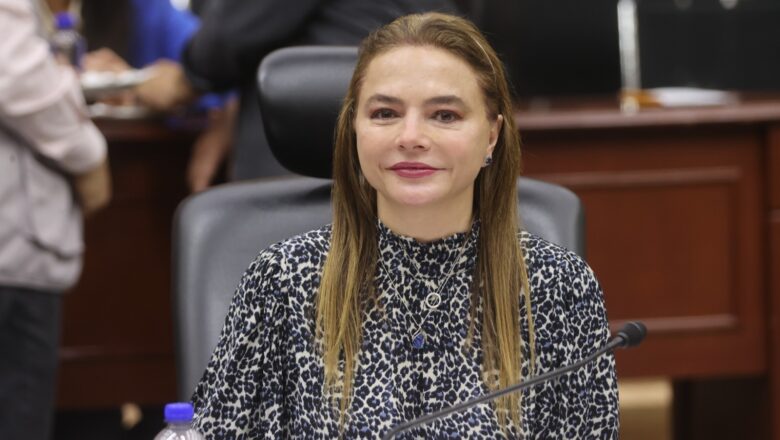 INE recibe 38 denuncias contra candidatos al Poder Judicial: entre ellos, presuntos violadores, deudores alimentarios y un prófugo