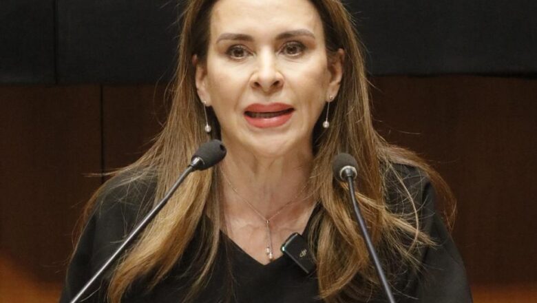 Fracasa Gobierno de Morena en atención a la salud de la infancia en México: Carolina Viggiano