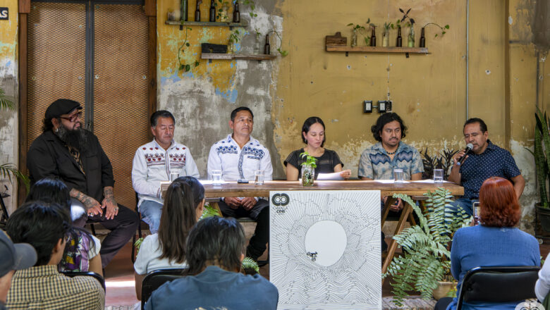 OaxacaCine Móvil recorre nuevos territorios en edición especial 2025: cine que conecta comunidades
