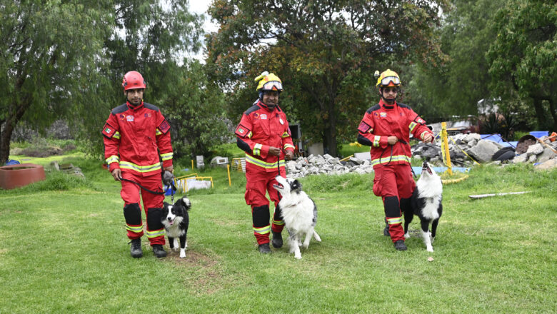 ¿Sucederá de nuevo en septiembre? Mitos y creencias detrás de los sismos en México: UNAM
