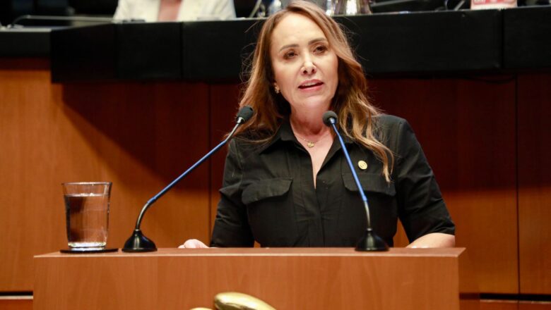 Designaciones de magistrados ponen en riesgo independencia del Tribunal: Cristina Ruiz