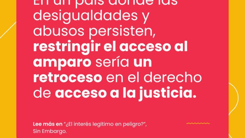 Reforma al amparo: ciudadanía desarmada frente al poder