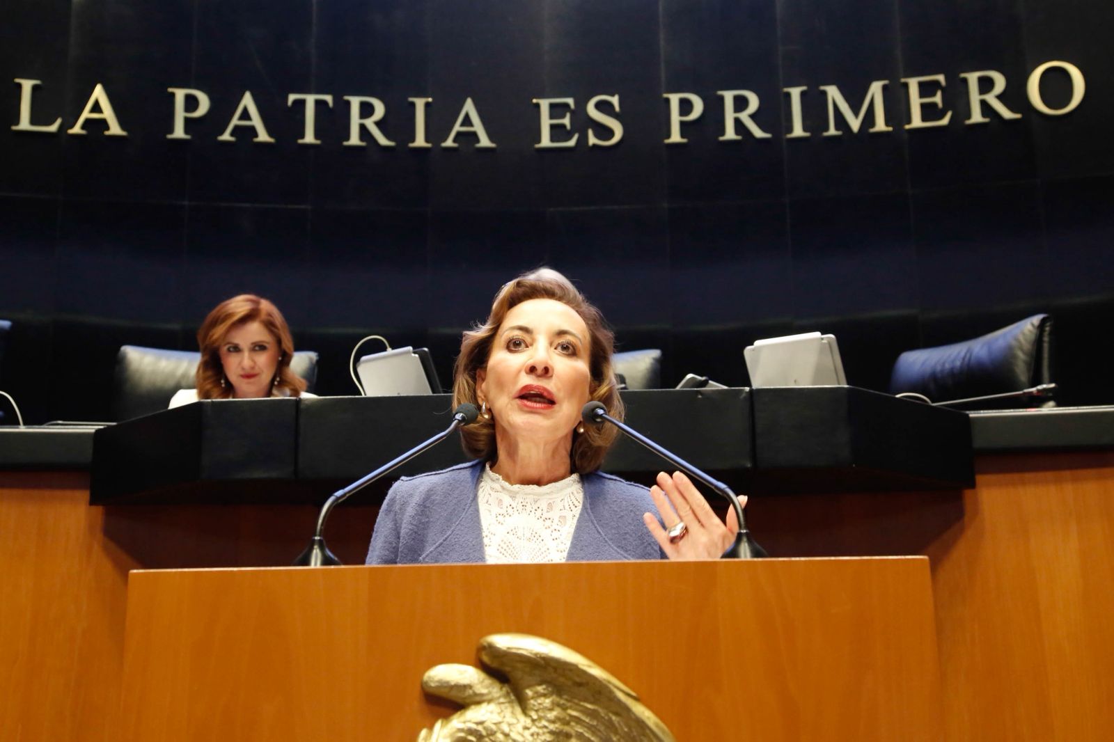 Simulación y “Gatopardismo” en la Reforma a la Ley de Amparo: Guadalupe Murguía