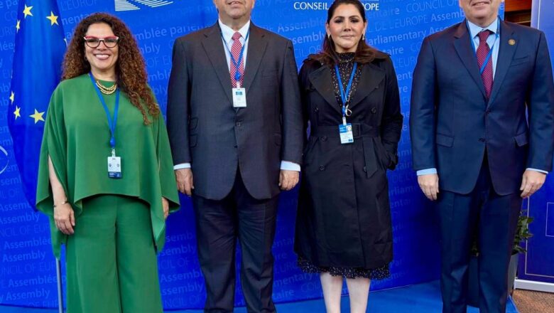 Pedro Haces Barba en Estrasburgo: “Ninguna democracia puede entenderse sin la existencia de partidos políticos libres”