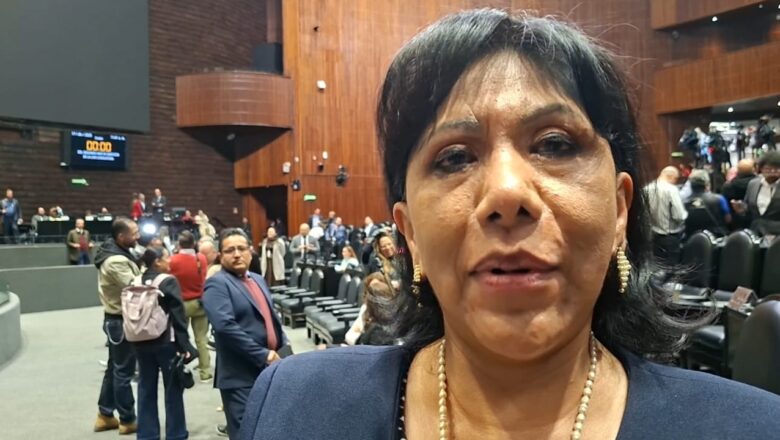 Reforma Electoral de Morena busca desaparecer a los partidos y concentrar el poder, advierte Anabell Ávalos