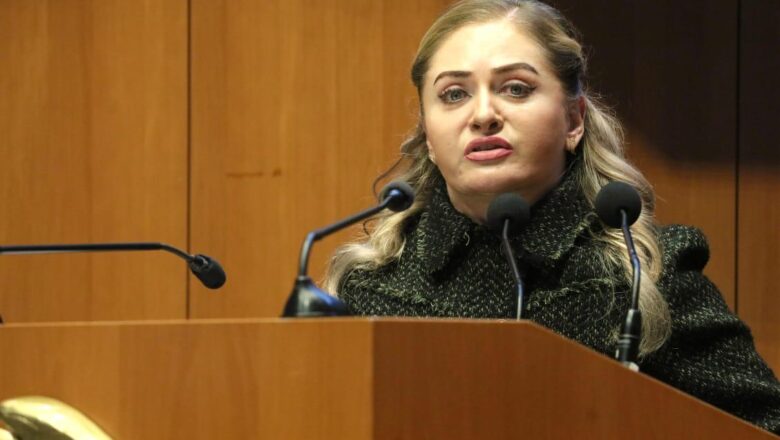 Senadora del PRI Claudia Anaya impulsa reforma para garantizar accesibilidad digital a personas con discapacidad