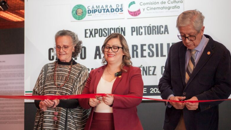 “El migrante no es una amenaza, sino alguien que aporta muchísimo”: Dana Aerenlund