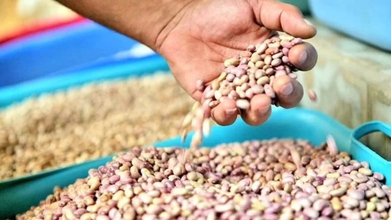 MORENA le dio la espalda al campo y la crisis en Zacatecas es un ejemplo: Alejandro Moreno