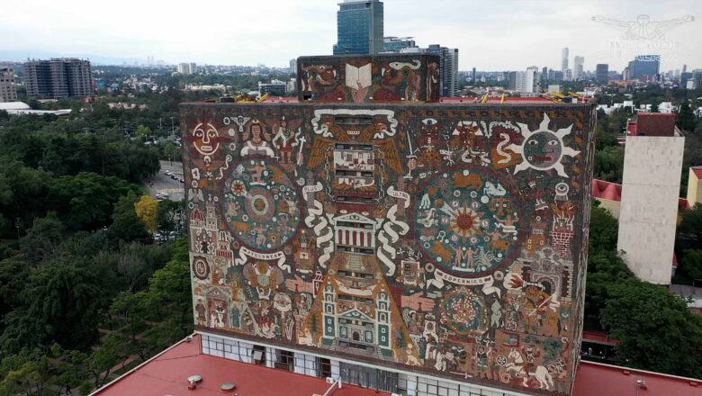 Biblioteca Central, rostro global de la UNAM: Tamara Martínez Ruíz