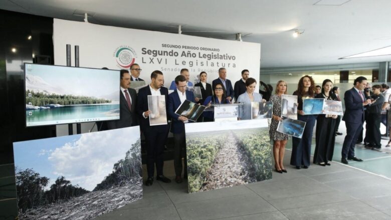 Tren Maya: entre la opacidad, el derroche y el riesgo ambiental se han perdido 6 mil millones de pesos: Mayuli Martínez