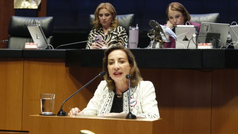 La causal de nulidad de elecciones por intervención extranjera busca anular triunfos de la oposición:  Guadalupe Murguía