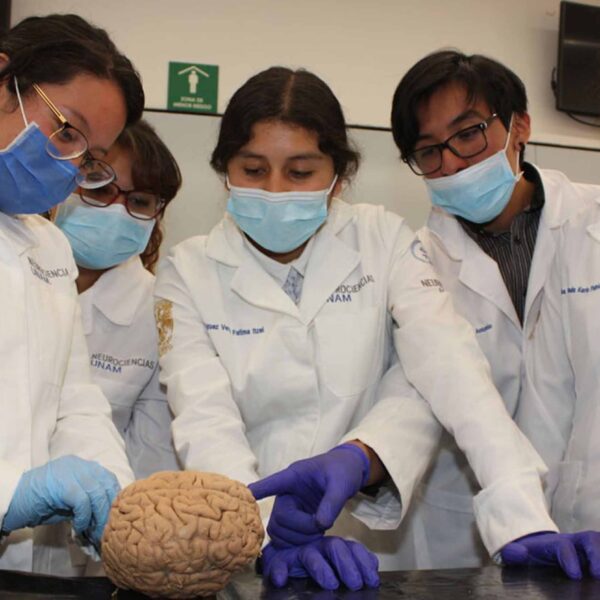 Se feminiza la medicina: Ana Carolina Sepúlveda destaca el liderazgo de las mujeres en la salud