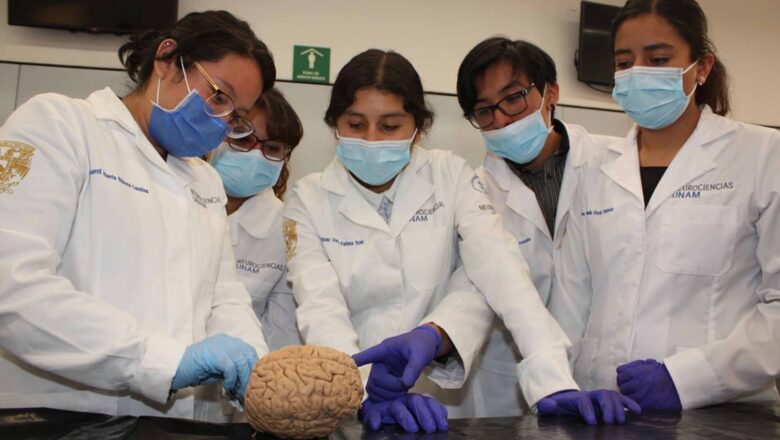 Se feminiza la medicina: Ana Carolina Sepúlveda destaca el liderazgo de las mujeres en la salud