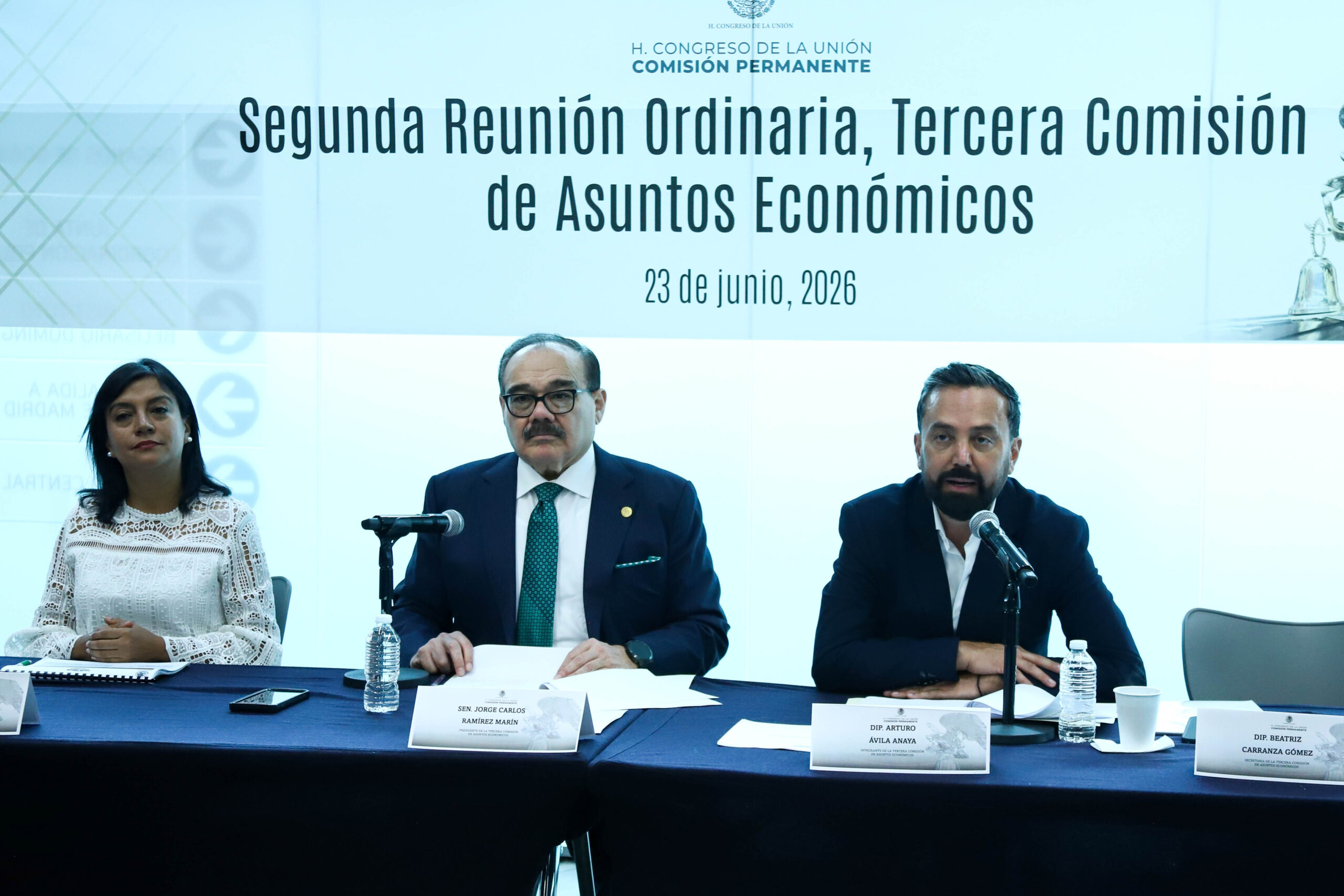Avanza en Comisiones dictamen para combatir “turismo pirata” y proteger hábitat de ballenas