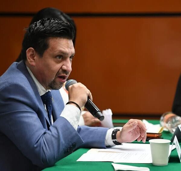 Tren Maya es la amenaza mortal diaria; PAN exige bitácoras de control y reporte de incidencias semestralmente