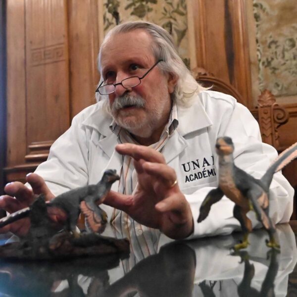 Honran a la UNAM y al paleontólogo Luis Espinosa Arrubarrena con el nombre del dinosaurio Xenovenator espinosai